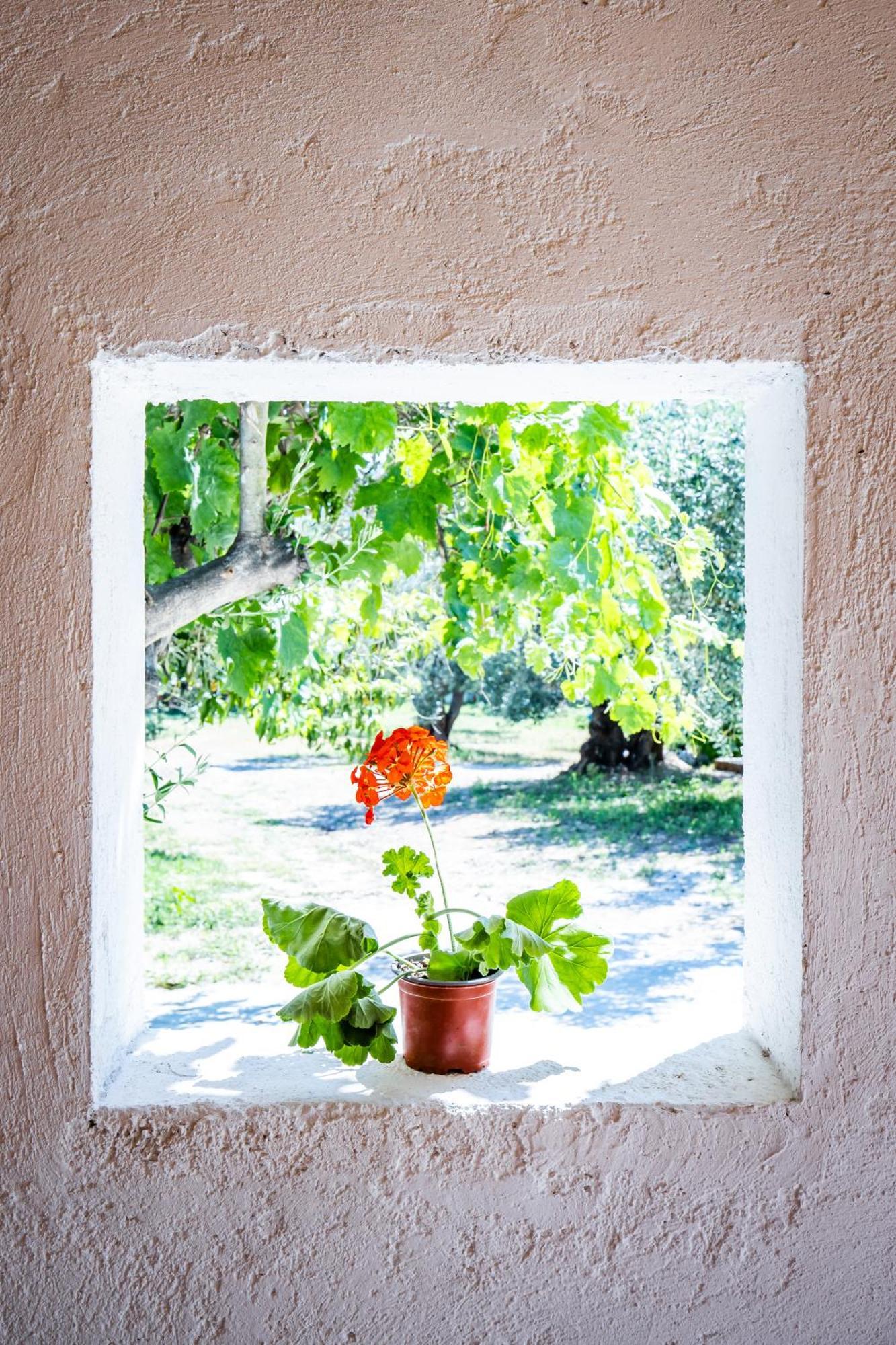 Eleonora'S Villa Szkópelosz Kültér fotó